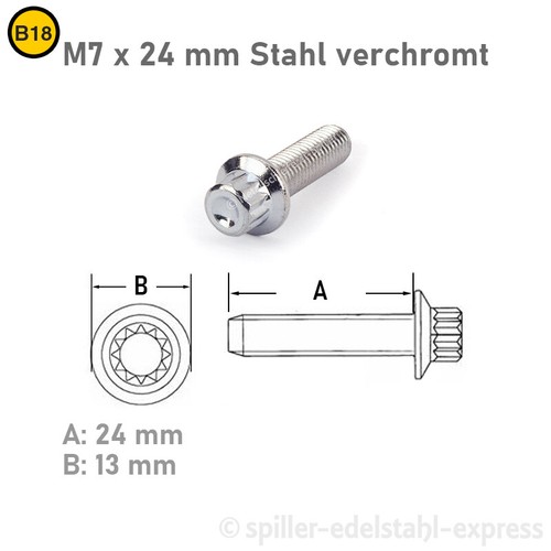 Zierschrauben zierstopfen - zierschrauben,