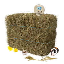 10 kg Heuballen 1,60€/kg  - Kaninchen Heu für Meerschweinchen, Hamster und Hasen