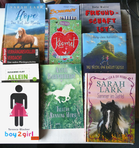 Bücherpaket kinder 12 - ab,