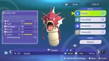 💠 Shiny Garados 🔥Sofort