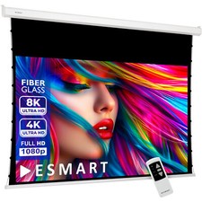 ESMART Pro TATENSO Tageslicht Tension Leinwand GRAU 295 x 165 cm (133") 16:9