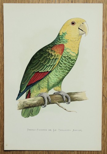 Original 1884 antiker