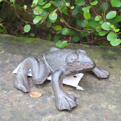Frosch frösche kröte - frosch,