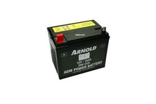 Original MTD Batterie 12V 16
