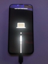 Apple iPhone 13 128 GB grün  defekt