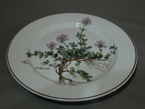 Kuchen teller villeroy - ,