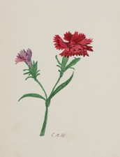 Monogramm CBH (19.Jhd), Nelken