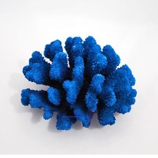 Steinkoralle,12 x11 x7 cm