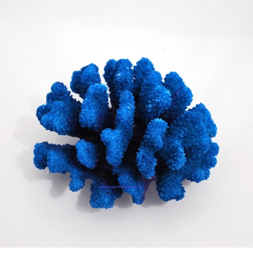 Steinkoralle x11 cm - steinkoralle,12,
