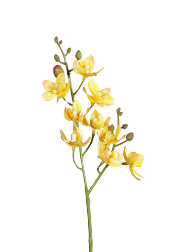 Künstlicher orchideen zweig - künstlicher,