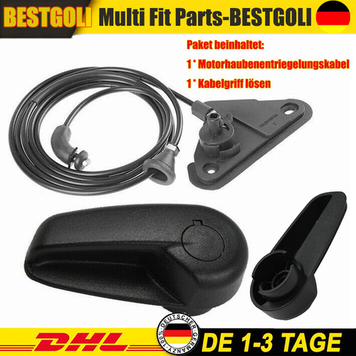 Motorhaube - motorhaube, +