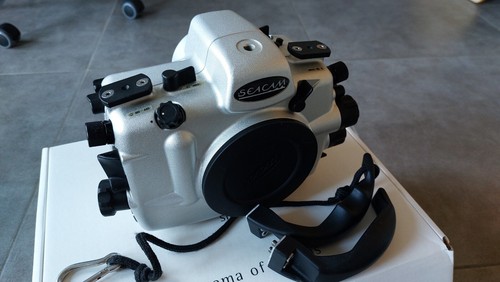Seacam under water - under, foto