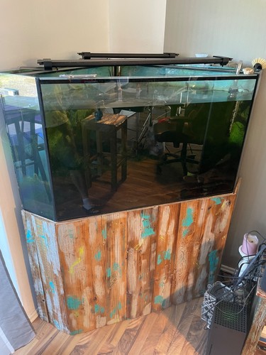 Aquarium selbstabholer inc - selbstabholer,