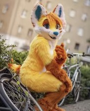 Furry Fursuit Frau Maskottchen Kostüm 1.70m - 1.90m Komplett Erwachsene Hund