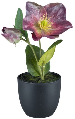 Kunstblume christrose - kunstblume,