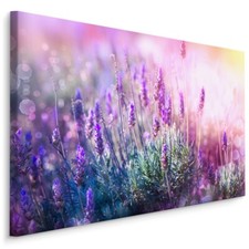 CANVAS Leinwand Bilder XXL