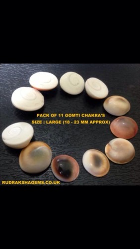 Gomati chakra natürliche - chakra,