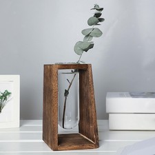 Desktop Anlage Terrarium: Glas