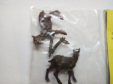 Tiere: Alpensteinbock in