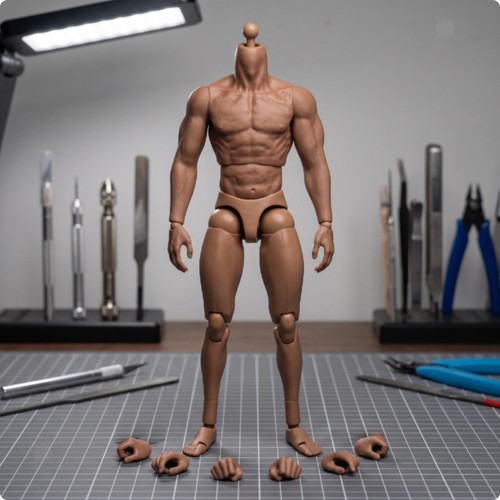 Scale male figure body - 1/6,