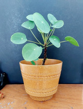 Großer Mid-Century Übertopf