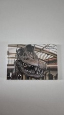 Magnet Naturkundemuseum Berlin Kühlschrankmagnet Souvenir Urlaub