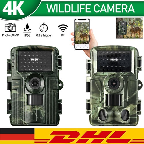 Wildkamera video - wildkamera,