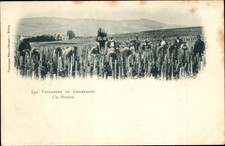 Marne die weinlese in - ak,