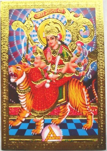 Bild saraswati tiger - bild,