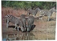 3 Puzzles, Afrika, Elefant, Giraffe, Zebra, Lernbuchstaben und Schablonen