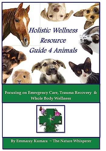 Holistic wellness resource - holistic,