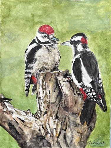 Original aquarell zwei - original,,