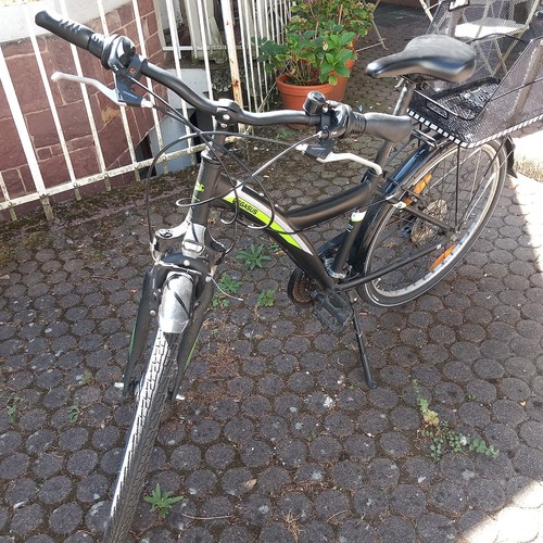 Pegasus avanti zoll grün - 7,