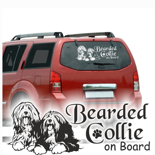 Auto aufkleber bearded collie - auto,