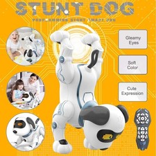 Fernbedienung Roboter Hund