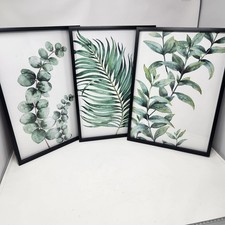 Trio von botanischen - , blättern