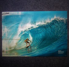 Poster Surfen - A3 Poster -