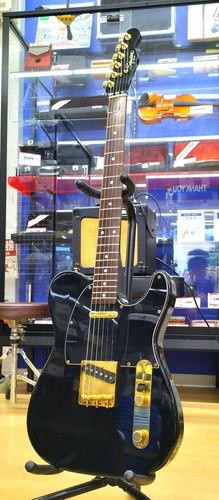 Squier ctl black - black, gold