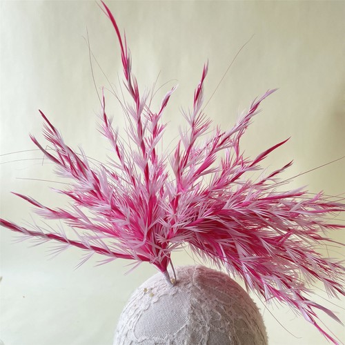 Farben gänse biot - 80, feder