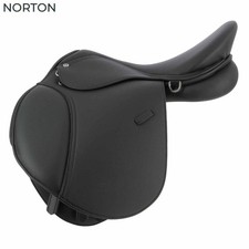 NORTON PRO