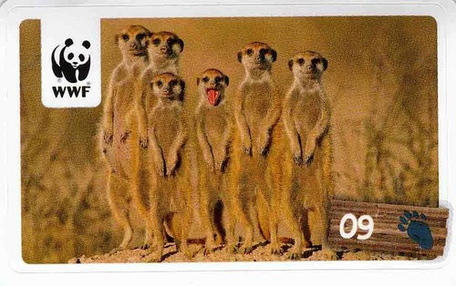 Rewe wwf tier abenteuer - rewe,