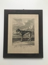 Lithographie "Türckischer