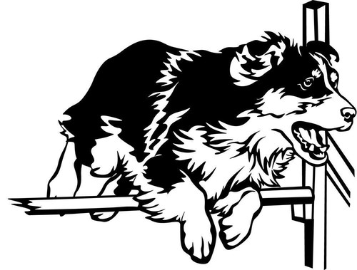 Australian shepherd aufkleber - australian,