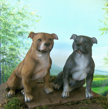 Staffordshire bullterrier - staffordshire,