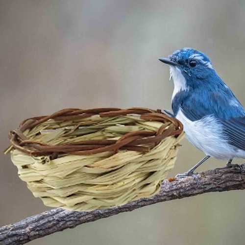 Rundes vogelnest aus - vogelnest,, rundes,