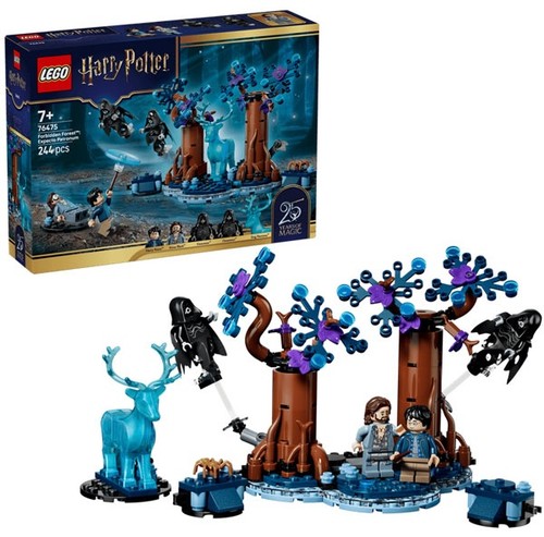 Lego harry potter 76475 - lego,