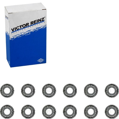 Victor reinz - victor,