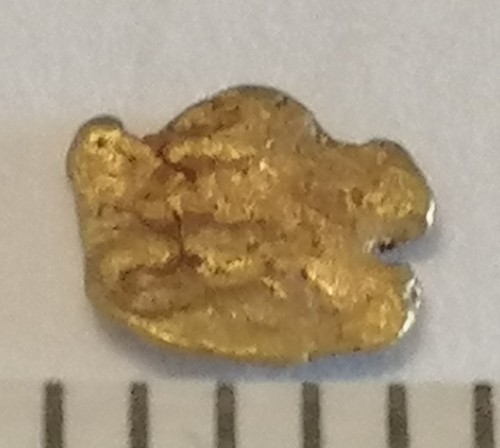 Goldnugget barren gold - goldnugget,