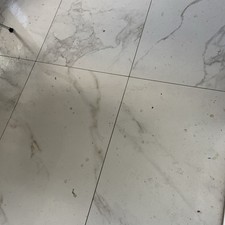 Rennrad Titan Titanium Shimano