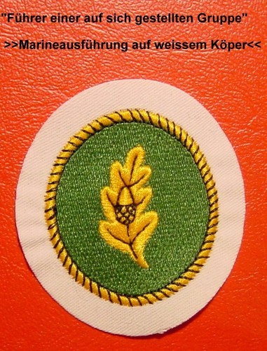 Führer einer eliteeinheit - führer,